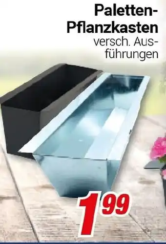 CENTERSHOP Paletten- Pflanzkasten Angebot