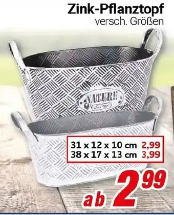 CENTERSHOP Zink-Pflanztopf Angebot