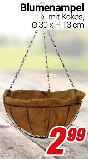 CENTERSHOP Blumenampel Angebot