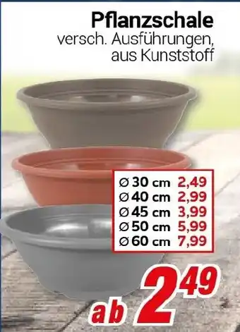 CENTERSHOP Pflanzschale Angebot