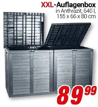 CENTERSHOP XXL-Auflagenbox Angebot