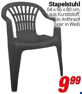 CENTERSHOP Stapelstuhl Angebot