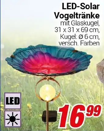 CENTERSHOP LED-Solar Vogeltränke Angebot