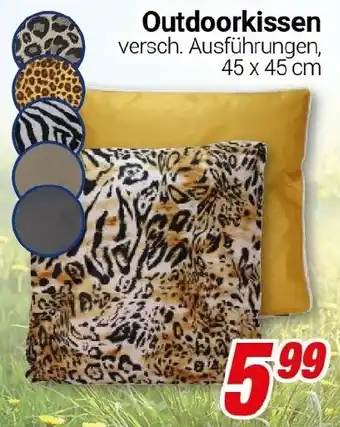 CENTERSHOP Outdoorkissen Angebot