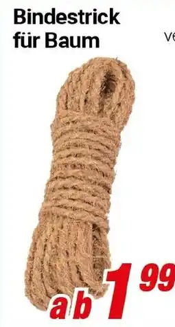 CENTERSHOP Bindestrick für Baum Angebot