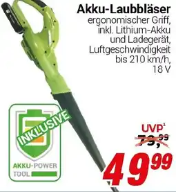 CENTERSHOP Akku-Laubbläser Angebot
