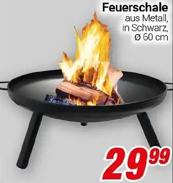 CENTERSHOP Feuerschale Angebot