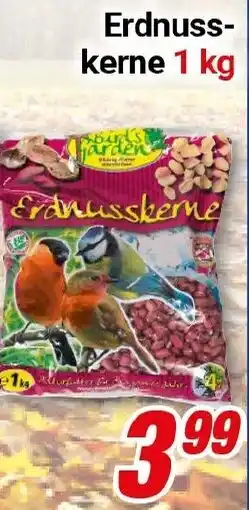 CENTERSHOP Birds' garden Erdnusskerne Angebot