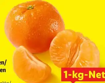 Lidl Mandarinen Angebot