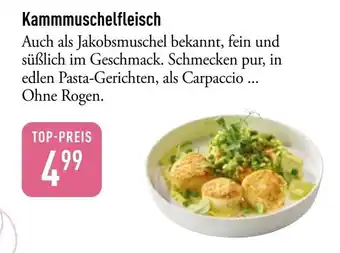 Galeria Markthalle Kammmuschelfleisch Angebot