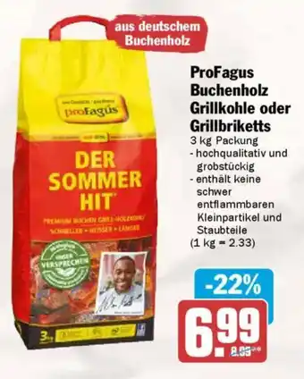 AEZ ProFagus Buchenholz Grillkohle oder Grillbriketts Angebot