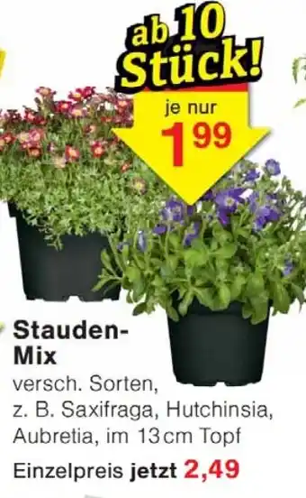 Wiglo Wunderland Stauden- Mix Angebot