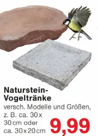 Wiglo Wunderland Naturstein- Vogeltränke Angebot
