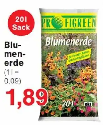 Wiglo Wunderland PROFIGREEN Blumenerde Angebot