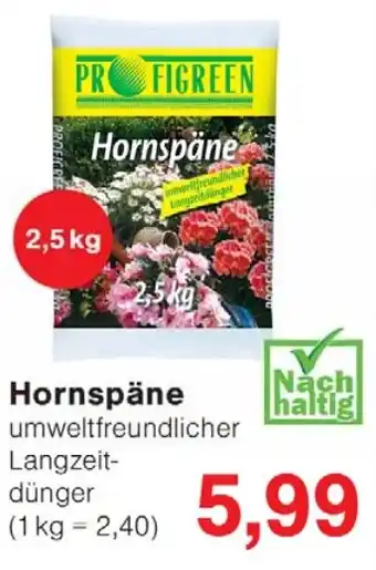 Wiglo Wunderland PROFIGREEN Hornspäne Angebot