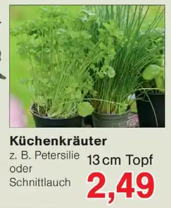 Wiglo Wunderland Küchenkräuter Angebot