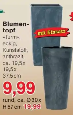 Wiglo Wunderland Blumen topf Angebot