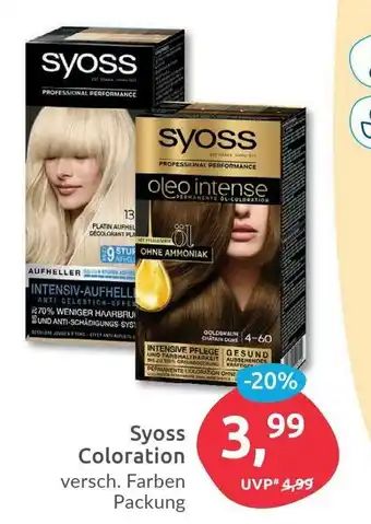 Budni Syoss Coloration Angebot