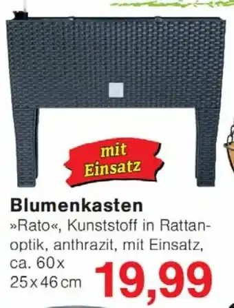 Wiglo Wunderland Blumenkasten Angebot