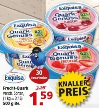 Multi Markt Exquisa Frucht-Quark Angebot