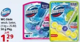 Multi Markt Domestos WC-Stein Angebot