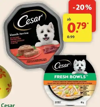 Fressnapf Cesar Hunde Nassnahrung Angebot