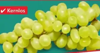 Kaufland Tafeltrauben Angebot