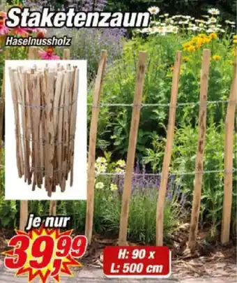 Posten Börse Staketenzaun Angebot