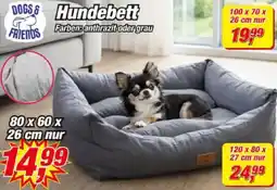 Posten Börse DOGS & FRIENDS Hundebett Angebot