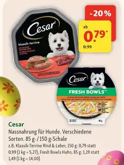 Fressnapf Cesar klassik-terrine rind & leber Angebot