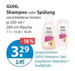 V Markt Guhl shampoo Angebot