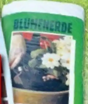 Multi Markt Blumenerde Angebot