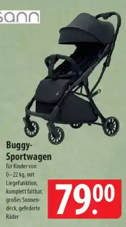 Famila Nord Ost Osann Buggy Sportwagen Angebot