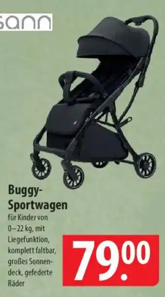 Famila Nord Ost Osann Buggy Sportwagen Angebot