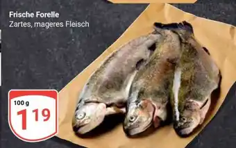 Globus Frische Forelle Angebot