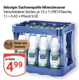 Globus Ileburger Sachsenquelle Mineralwasser Angebot