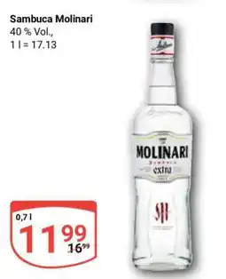 Globus Sambuca Molinari Angebot