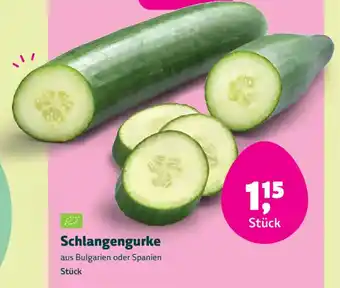 Biomarkt Schlangengurke Angebot