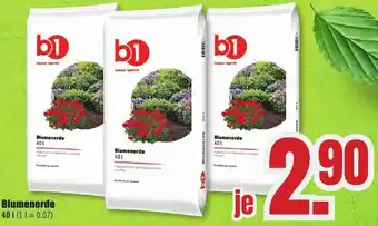 B1 Discount Baumarkt b1 Blumenerde Angebot