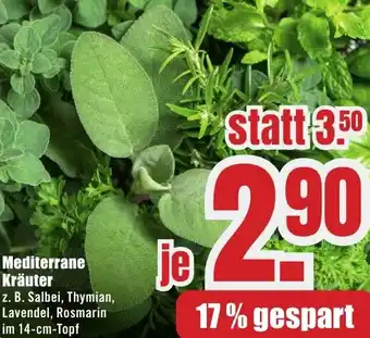 B1 Discount Baumarkt Mediterrane Kräuter Angebot