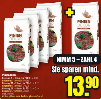B1 Discount Baumarkt Piniendekor Angebot