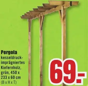 B1 Discount Baumarkt Pergola Angebot