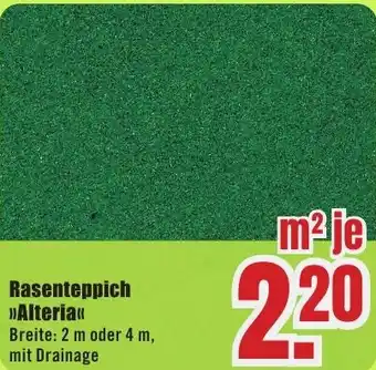 B1 Discount Baumarkt Rasenteppich Alteria Angebot