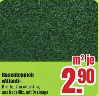 B1 Discount Baumarkt Rasenteppich Atlanti Angebot