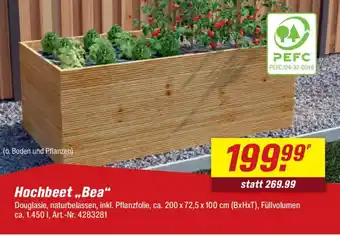 toom Baumarkt Hochbeet,,Bea" Angebot