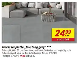 toom Baumarkt Terrassenplatte „Mustang grey" Angebot