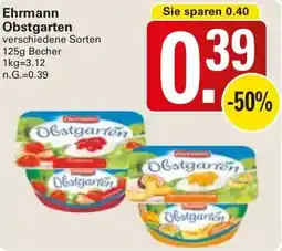 WEZ Ehrmann Obstgarten Angebot