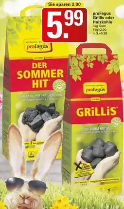WEZ proFagus Grillis oder Holzkohle Angebot