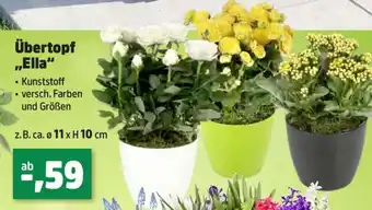 Thomas Philipps Übertopf „Ella“ Angebot