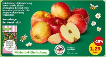 PENNY Deutsche rote Äpfel Angebot